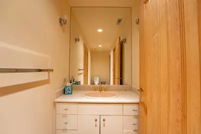 1683 Braeside Lane, Northbrook, IL 60062 - Photo 61