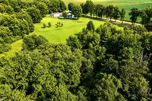 2325 County Road 975 E, Rinard, IL 62878 - Photo 55