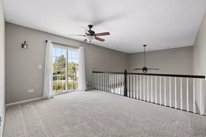 384 W Otto Drive, New Lenox, IL 60451 - Photo 17