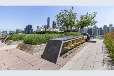 311 W Illinois Street #703, Chicago, IL 60654 - Photo 11