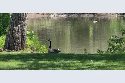 2857 River Road, Kankakee, IL 60901 - Photo 3