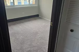 8655 1/2 W Foster Ave, Chicago, IL 60656 - Photo 11