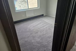 8655 1/2 W Foster Ave, Chicago, IL 60656 - Photo 9