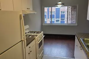 8655 1/2 W Foster Ave, Chicago, IL 60656 - Photo 3