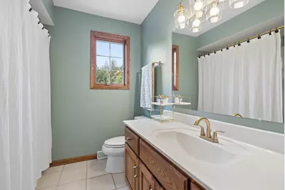4720 Shady Lane, Morris, IL 60450 - Photo 27