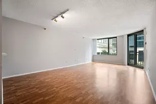 440 N McClurg Ct, Chicago, IL 60611 - Photo 5