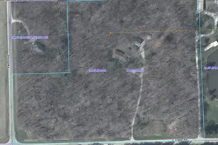 9434 E Fowler Rd, Rochelle, IL 61068 - Photo 35