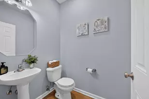 547 Bobby Ann Ct, Roselle, IL 60172 - Photo 17