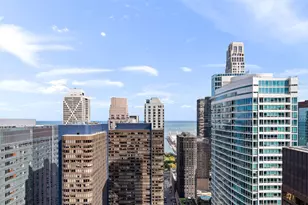 600 N Fairbanks Ct, Chicago, IL 60611 - Photo 55