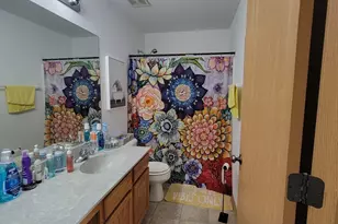 3104 Alyssa St, Plano, IL 60545 - Photo 15