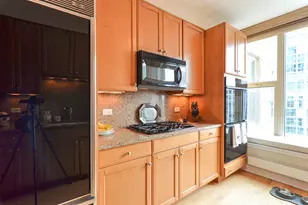 25 E Superior St, Chicago, IL 60611 - Photo 7