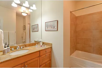 25 E Superior Street #3701, Chicago, IL 60611 - Photo 15