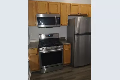 209 S Albany Avenue #2, Chicago, IL 60612 - Photo 5
