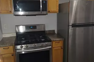 209 S Albany Ave, Chicago, IL 60612 - Photo 5