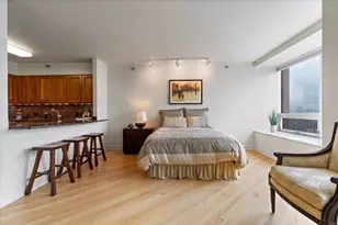 512 N McClurg Ct, Chicago, IL 60611 - Photo 11