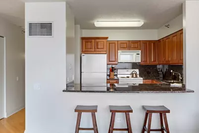 512 N McClurg Court #4309, Chicago, IL 60611 - Photo 9