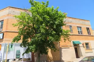 1552 W Highland Ave, Chicago, IL 60660 - Photo 1