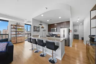 303 W Ohio St, Chicago, IL 60654 - Photo 3