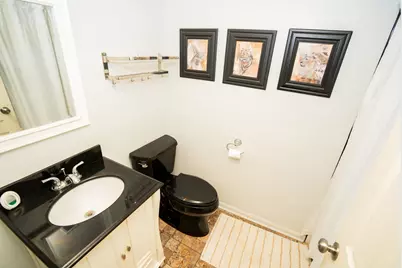 4413 Michael John Court, Richton Park, IL 60471 - Photo 23