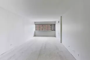 1415 N Dearborn St, Chicago, IL 60610 - Photo 23