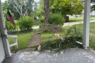 503 Milton St, Paris, IL 61944 - Photo 11