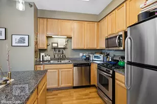 1134 W Granville Ave, Chicago, IL 60660 - Photo 5