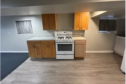 2824 N Springfield Avenue, Chicago, IL 60618 - Photo 41