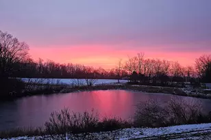 8485 N 2300 East Rd, Downs, IL 61736 - Photo 47