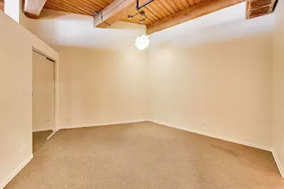 2310 S Canal Street #217, Chicago, IL 60616 - Photo 13