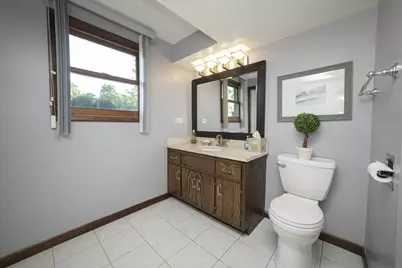 302 Birch Drive, Shorewood, IL 60404 - Photo 19