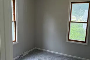 423 W Minnesota St, Spring Valley, IL 61362 - Photo 11