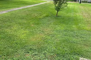 423 W Minnesota St, Spring Valley, IL 61362 - Photo 23