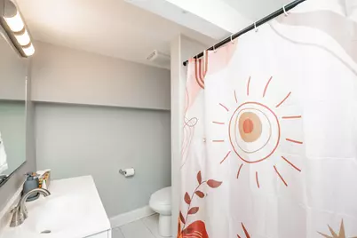 735 E 50th Street #2, Chicago, IL 60615 - Photo 19