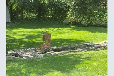 1208 Getzelman Trail, Algonquin, IL 60102 - Photo 31