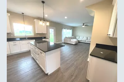 24509 S Saint Paul Avenue, Channahon, IL 60410 - Photo 9