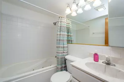 53 Oak Hill Colony #3, Fox Lake, IL 60020 - Photo 7