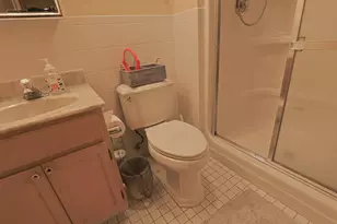 9510 S Kolmar Ave, Oak Lawn, IL 60453 - Photo 19