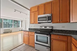 211 E Ohio St, Chicago, IL 60611 - Photo 7