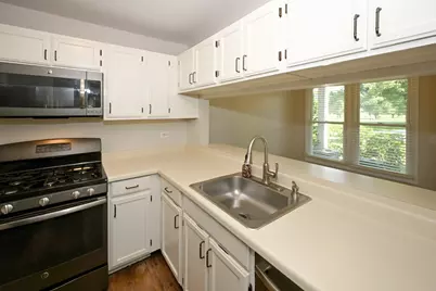230 University Lane, Elk Grove Village, IL 60007 - Photo 11