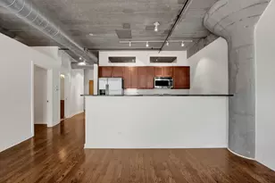1150 W 15th St, Chicago, IL 60608 - Photo 15