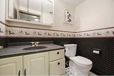 6511 Dunham Road, Downers Grove, IL 60516 - Photo 27