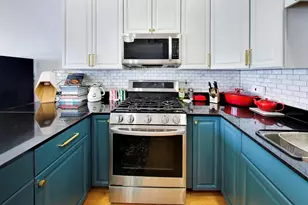 428 N Noble St, Chicago, IL 60642 - Photo 11