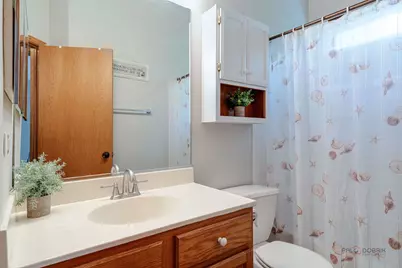 5513 Alexandria Drive, Lake in the Hills, IL 60156 - Photo 23