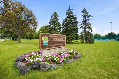 461 Dorothy Drive, Des Plaines, IL 60016 - Photo 23