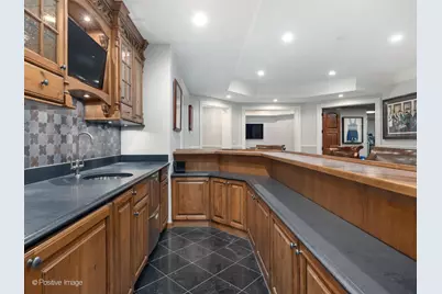 909 Cleveland Road, Hinsdale, IL 60521 - Photo 55