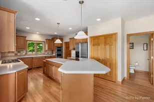4111 Farmington Ln, Johnsburg, IL 60051 - Photo 5