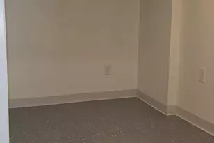 10118 S Luella Ave, Chicago, IL 60617 - Photo 33