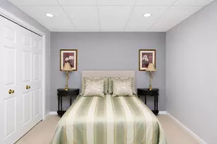 1555 S Paul Le Comte Ct, Palatine, IL 60067 - Photo 29