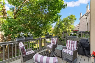 1555 S Paul Le Comte Court #58, Palatine, IL 60067 - Photo 33