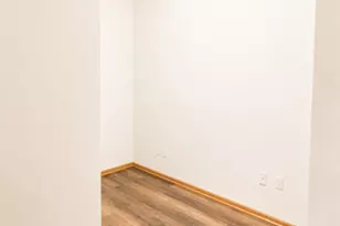 2322 S Canal St, Chicago, IL 60616 - Photo 13